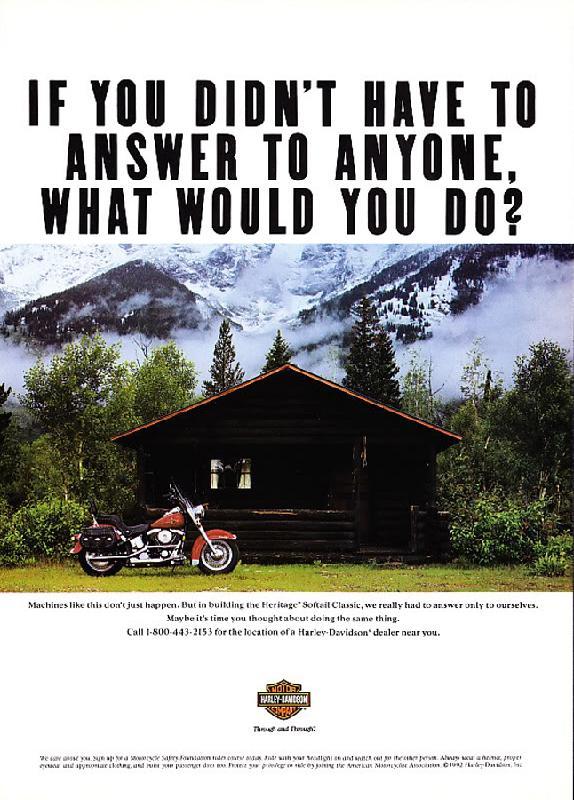 If you didn't have to answer to anyone, what would you do?, 1993